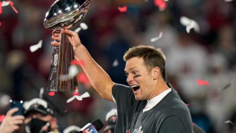 tom brady superbowl win