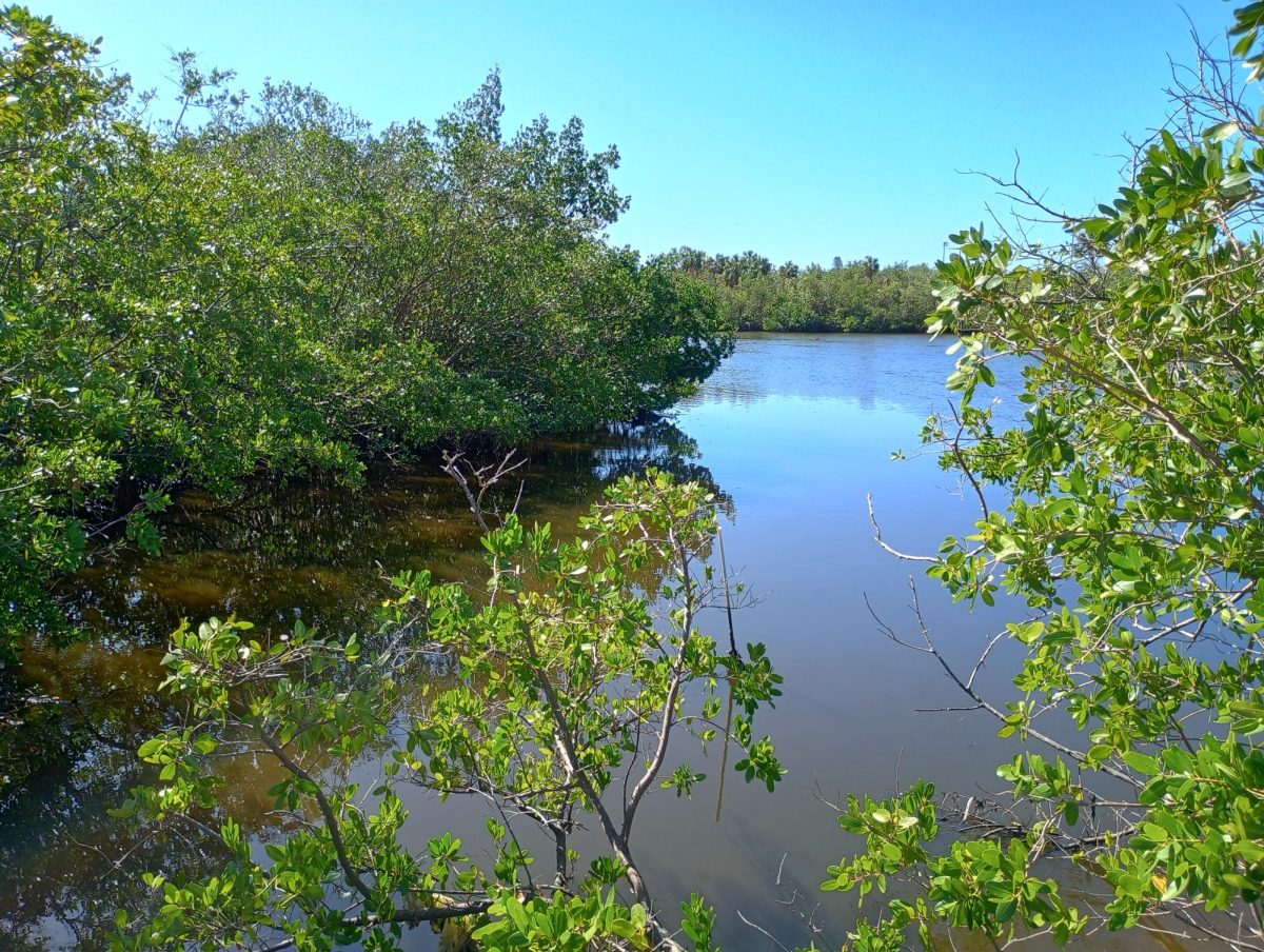 Salt Creek, a 1.5-mile stream, passes through the Bartlett Park area.