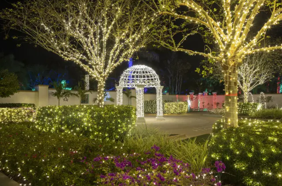 Sparkling lights shine throughout the holidays at the Florida Botanical Gardens. Photo via Florida Botanical Gardens